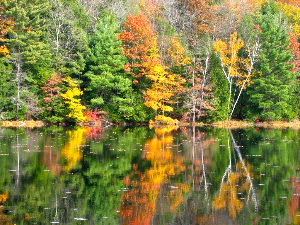 PHOTO OF THE WEEK: LITHIA RESERVOIR BY STEPHEN BRAUN - Amherst Indy