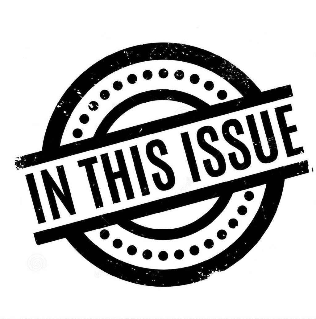 What’s in This Issue? - Amherst Indy