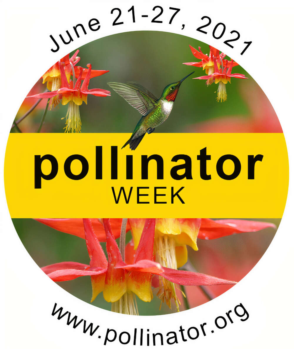 National Pollinator Week is June 21 June 27. Let’s Make Our Community