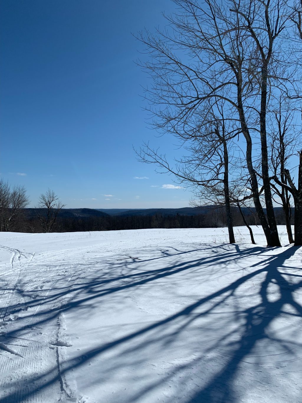 Almanac: Blue