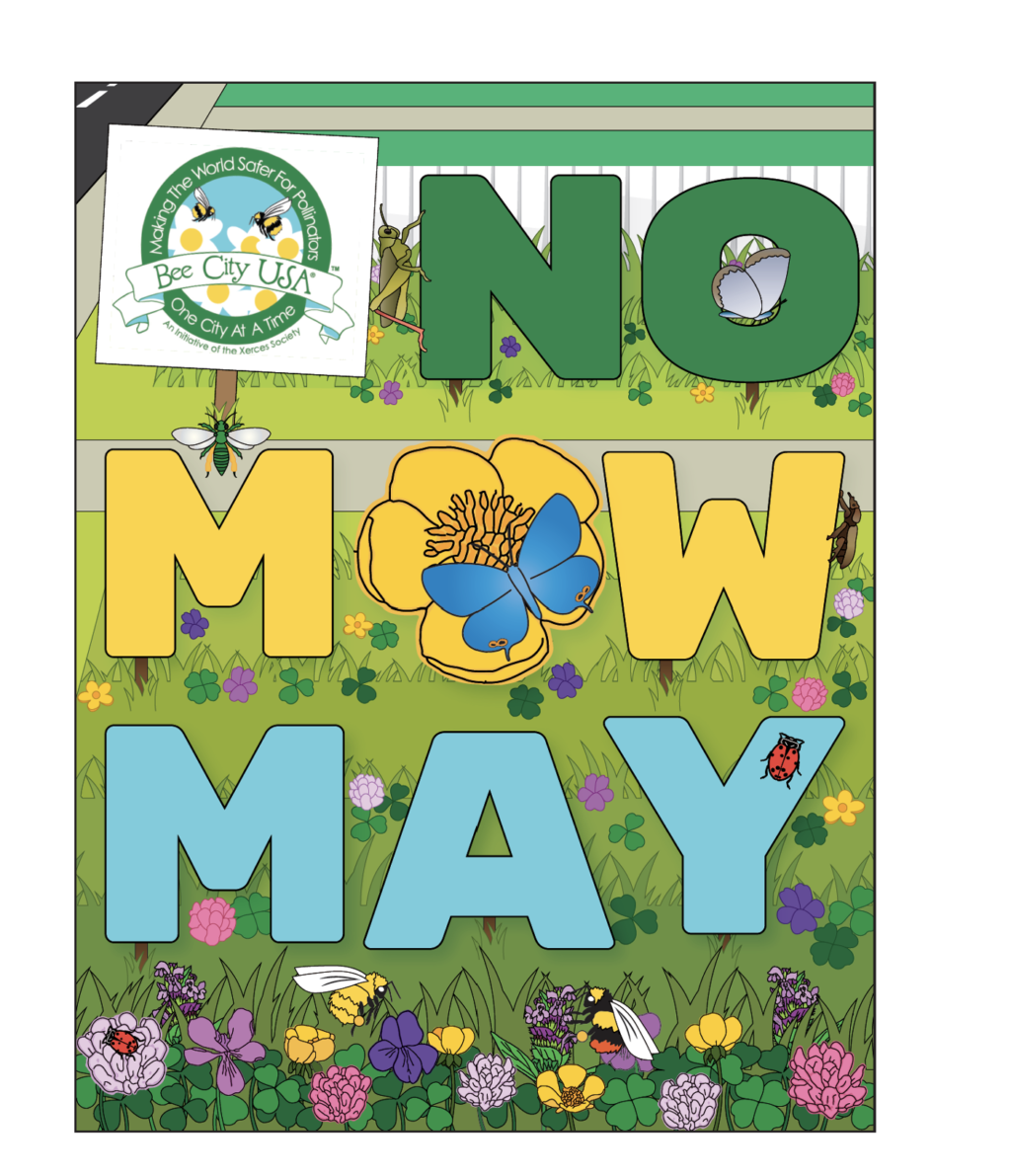 NO MOW MAY