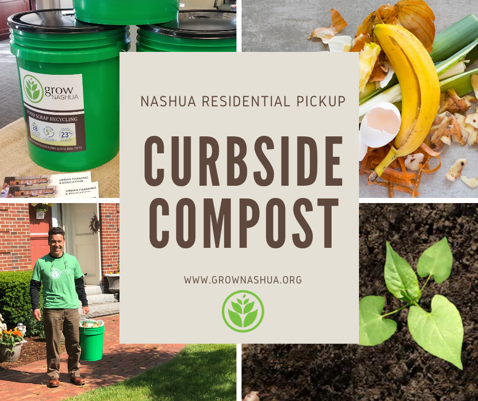 Boise's curbside compost program will pick up your leaves
