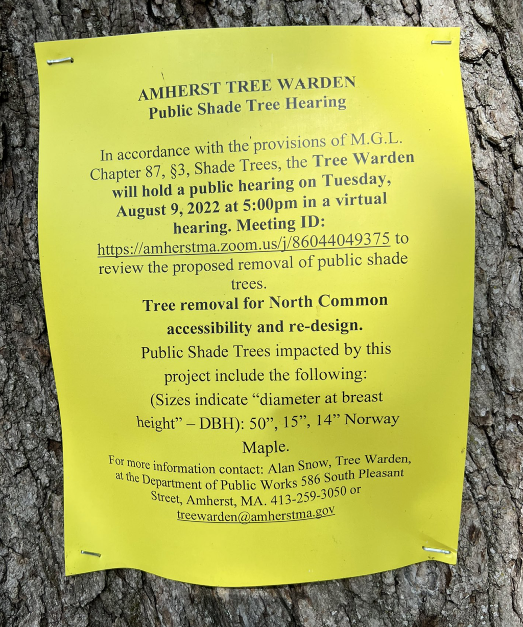 tree warden notice