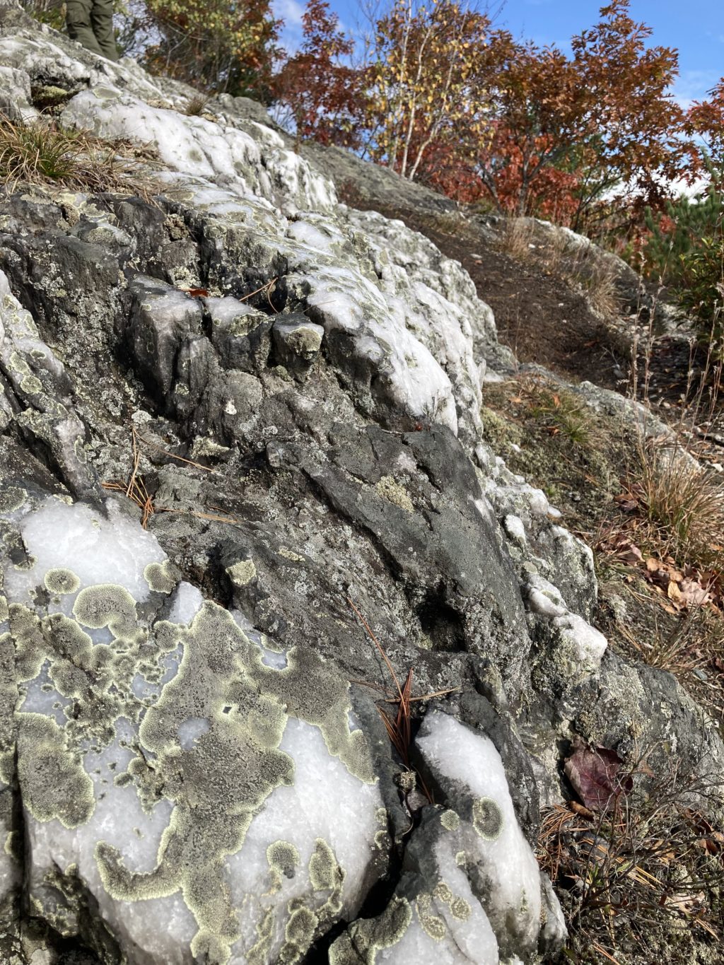 Negus quartz veins