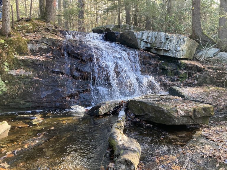 Almanac: Falling Water - Amherst Indy