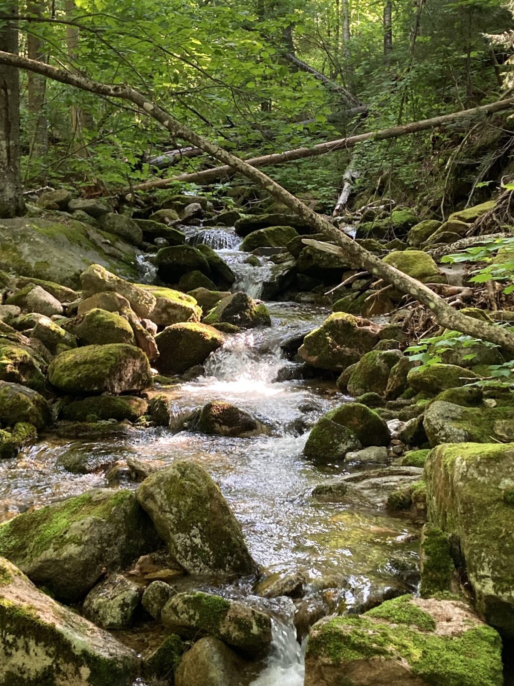 White mt stream small