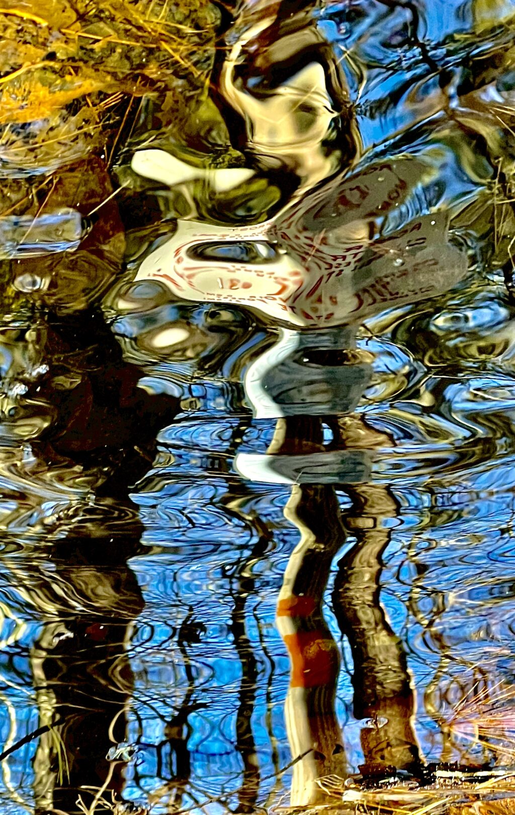 Photos of the Week: Reflections Along the Robert Frost Trail by Jonathan Plant