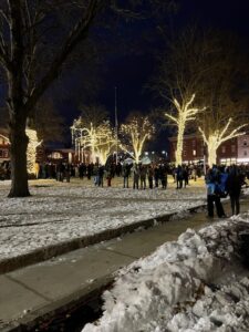 Photos of the Week: Lighting of the Merry Maple