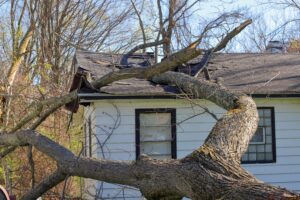 Storm damage, Tree,Trunk,And,Branches,Crash,Through,The,Roof,Of,A