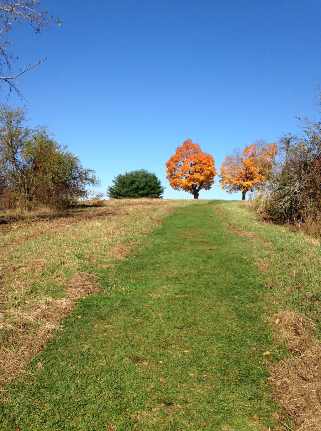 Landform Observatory Planned for Mount Pollux