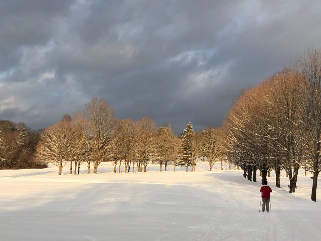 Photo of the Week: Cherry Hill in Winter by Tracy Zafian