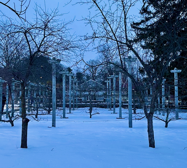 Photo of the Week: Durfee Conservatory in Winter by Hetty Startup